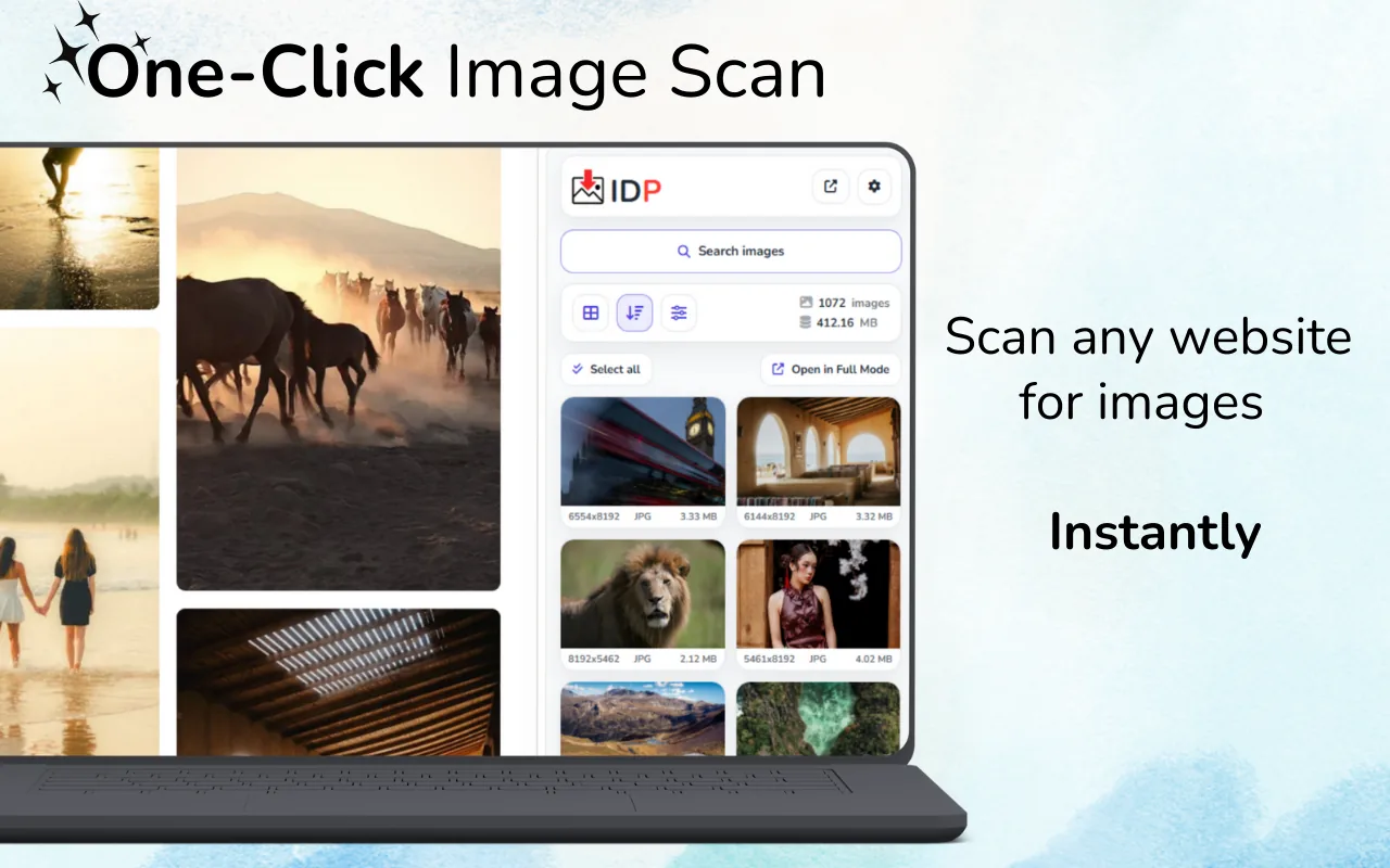Interfície de l'extensió Image Downloader Pro