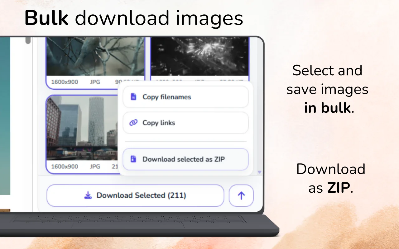 Sučelje proširenja Image Downloader Pro